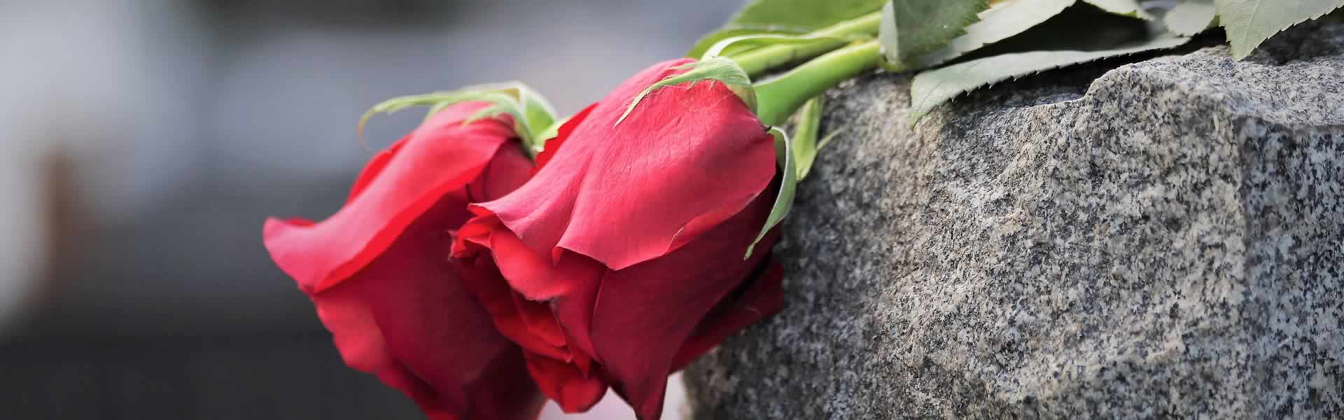 Rose e fiori per lapide cimiteriale